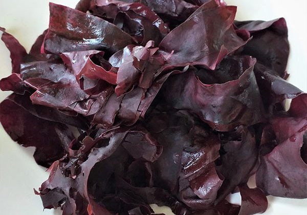 dulse